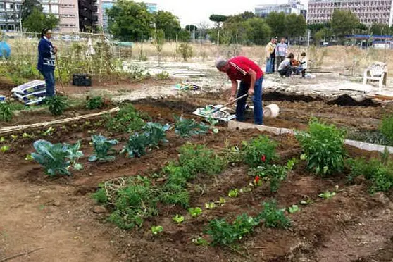 Un orto urbano - Foto simbolo