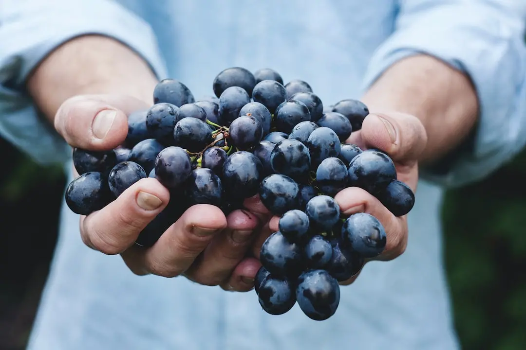 Immagine simbolo (Unsplash)