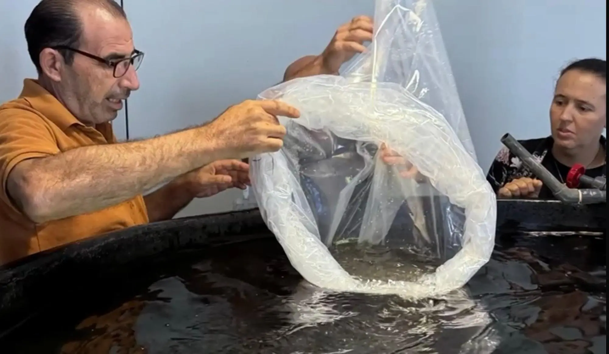 I ricercatori impegnati nei laboratori del Centro marino di Torregrande (foto concessa)