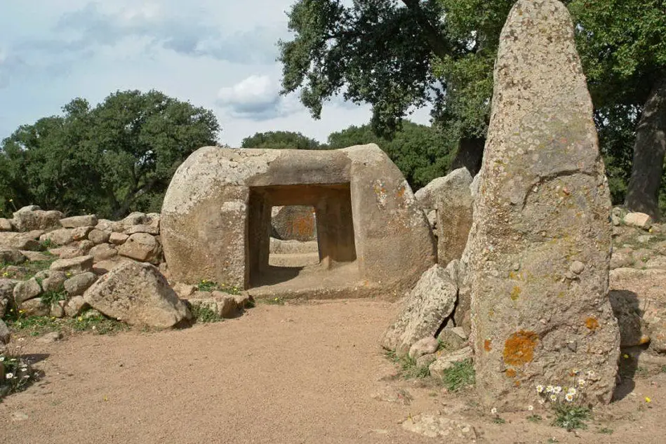 La necropoli di Pranu Mutteddu