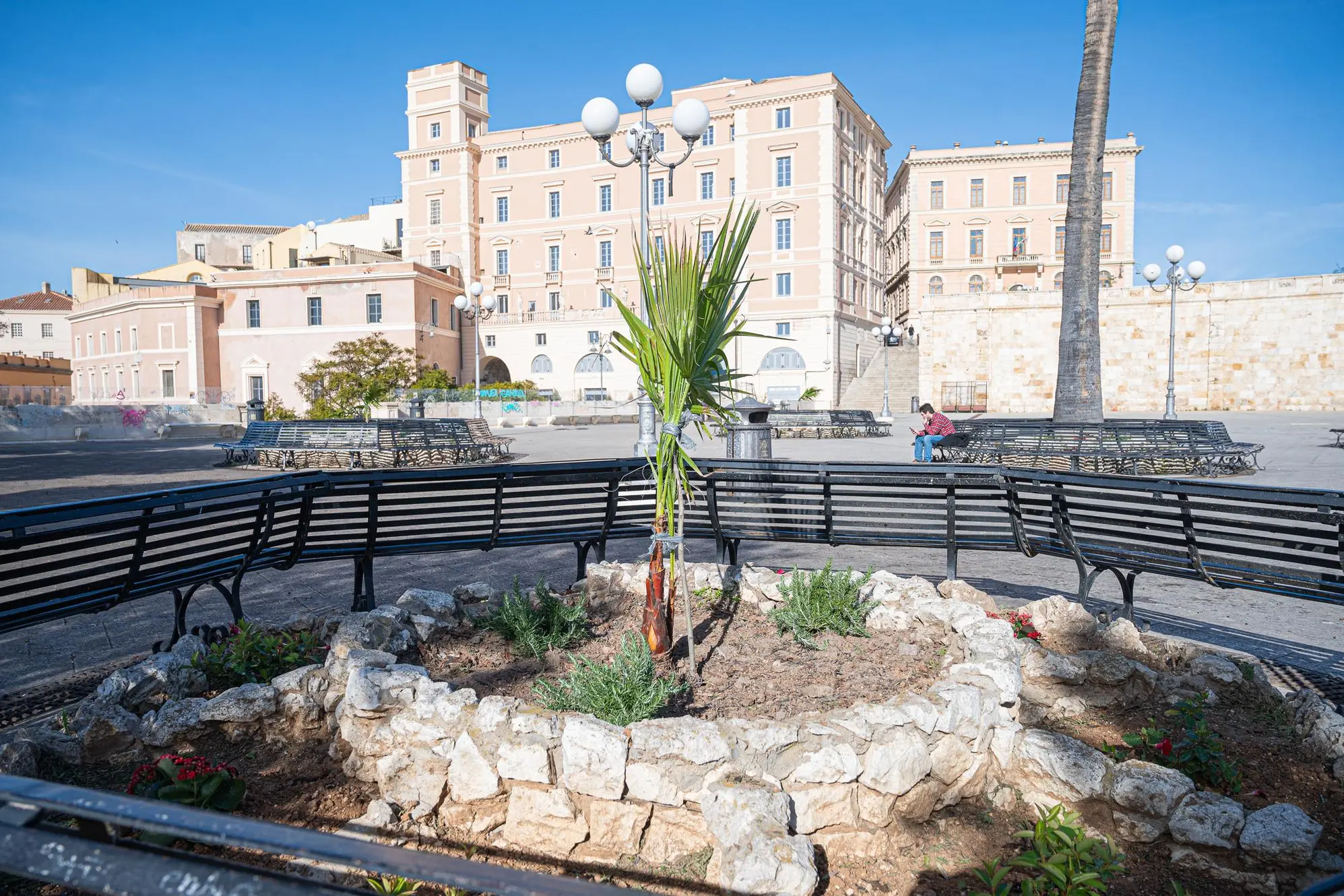Una delle palme piantate al Bastione (Foto: Comune di Cagliari)