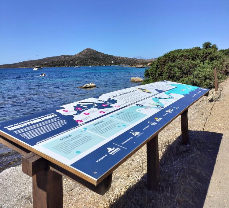 All'Asinara nasce Seaty Worldrise: sull'isola per la conservazione del mare