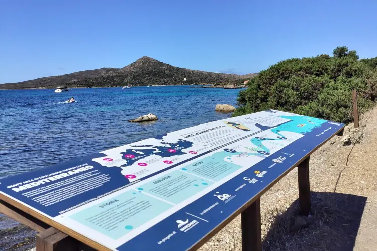 La nuova cartellonista del progetto Seattle all'Asinara (foto concessa)