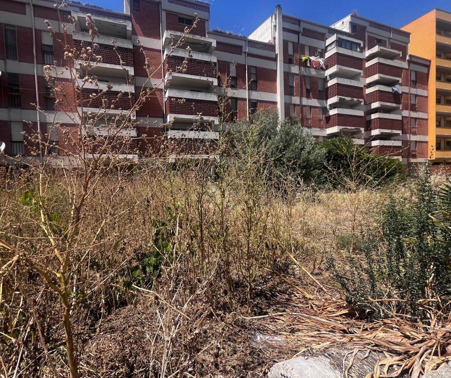 Erbacce in città, pericolo incendi