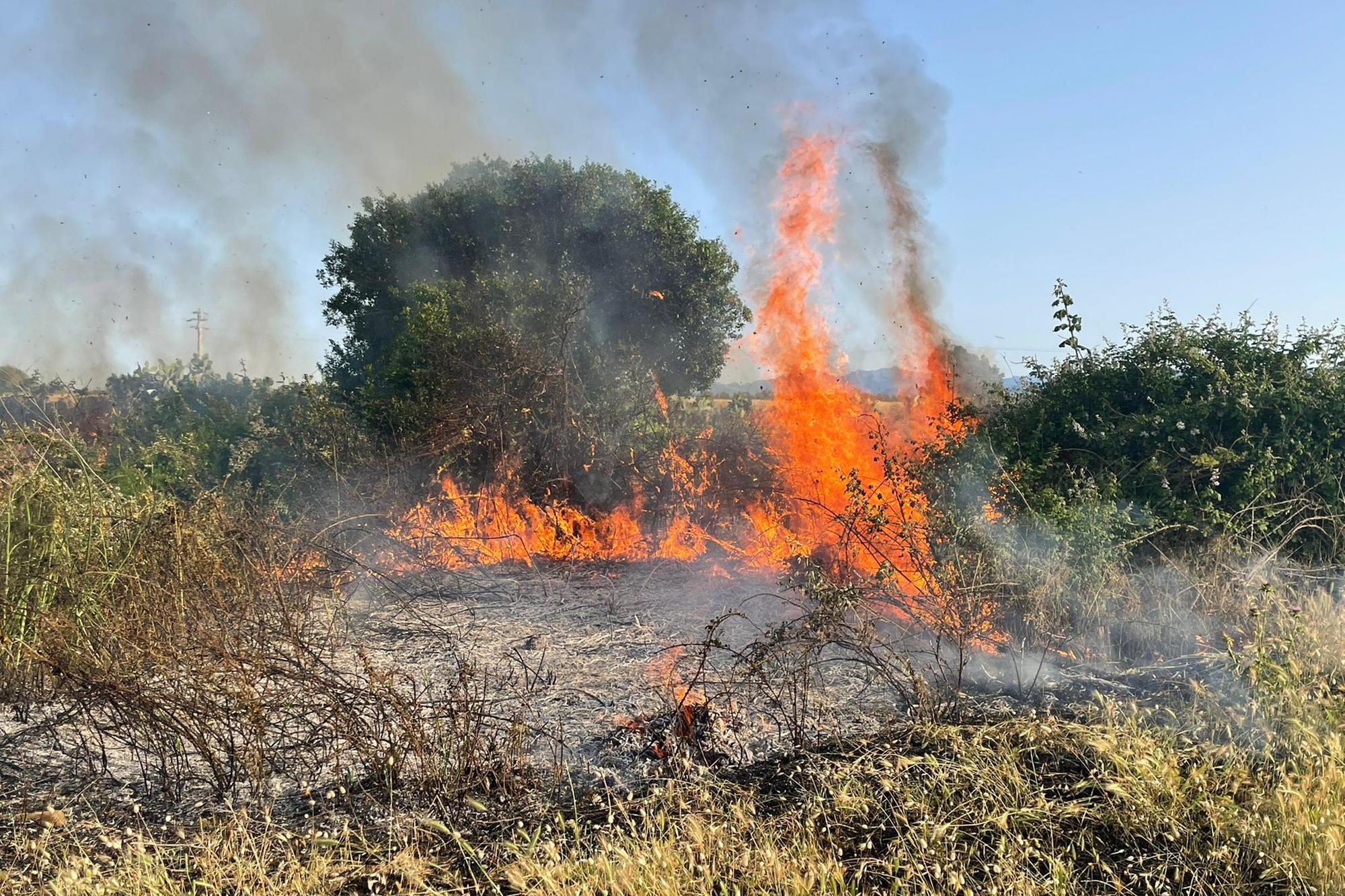 Incendio a Terralba: le fiamme minacciano alcune case - VIDEO