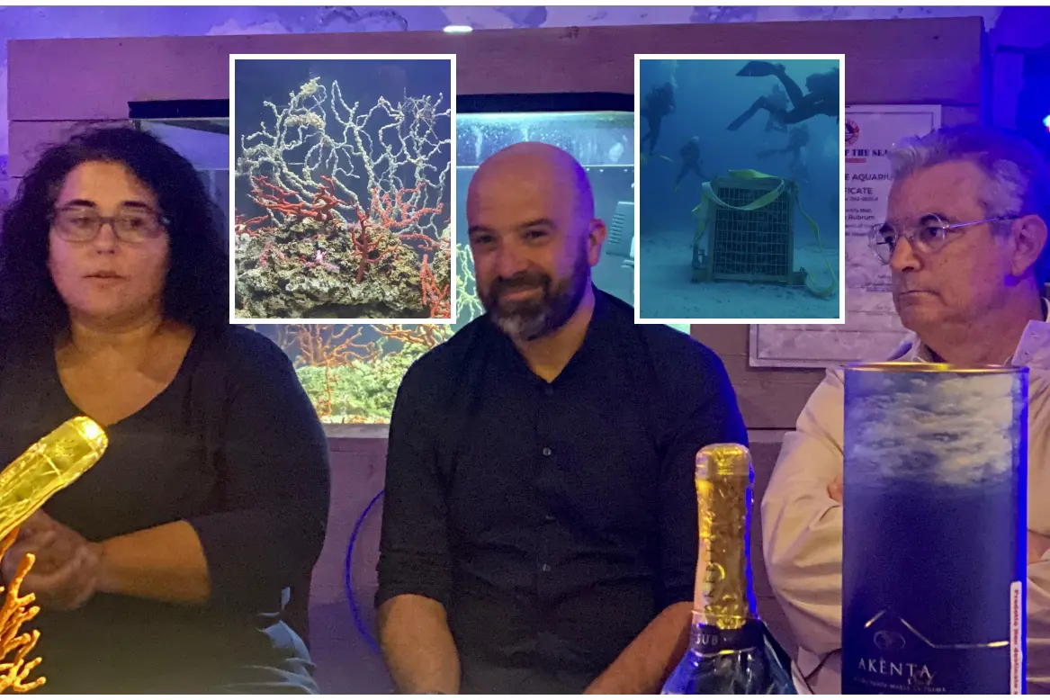 Da sinistra: Giorgia Vaccaro, Davide Simula e Mariano Mariani; nei riquadri il corallo che vive nell'acquario da due anni e la cantina subacquea di Santa Maria La Palma (foto Fiori)