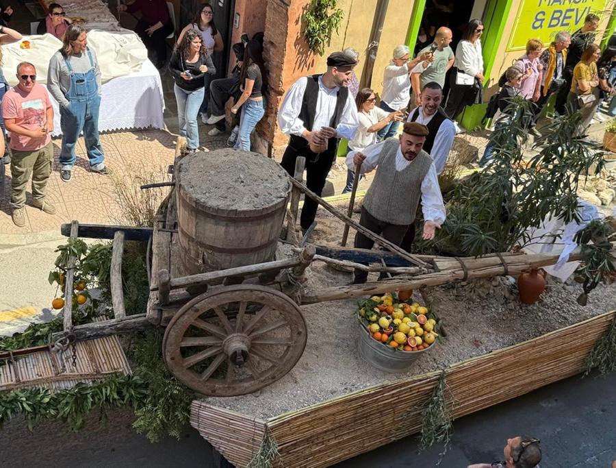 Agrumi, un trionfo per la sagra più attesa