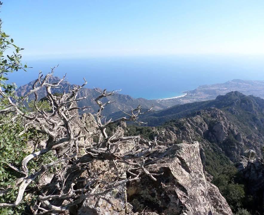Monte Ferru sarà inserito nella rete Natura 2000