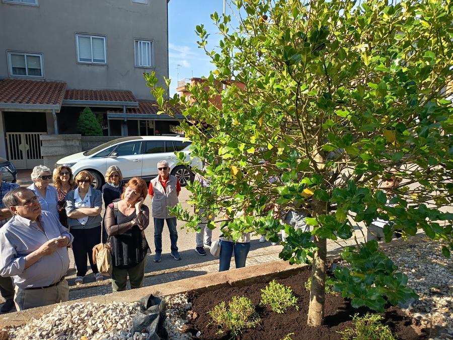 Macomer, un albero per ricordare lo studoso Luca Demontis