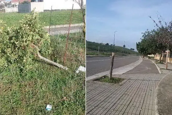 L'atto vandalico (foto Severino Sirigu)