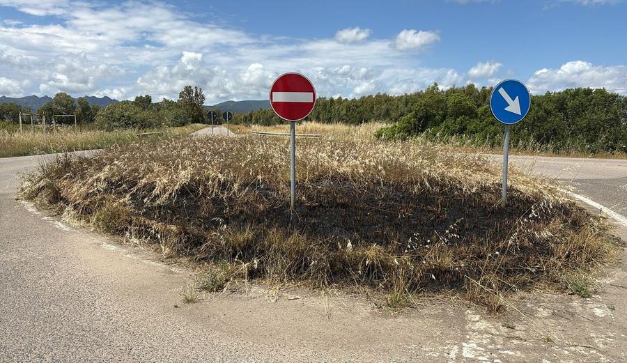 Sa Zeppara, incendiata l’erba dello spartitraffico