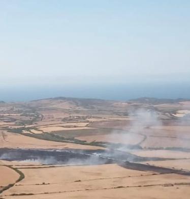 Stintino, incendio domato a Pozzo San Nicola: in fumo 20 ettari di campagna