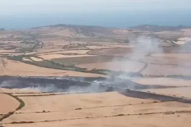 L'incendio a Stintino (foto Forestale)