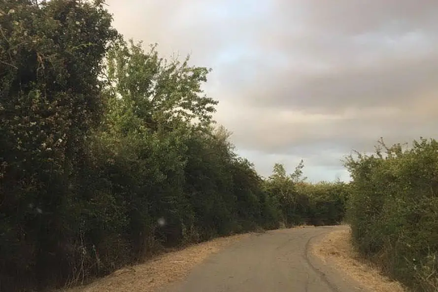 Una strada rurale di Isili (foto Facebook)