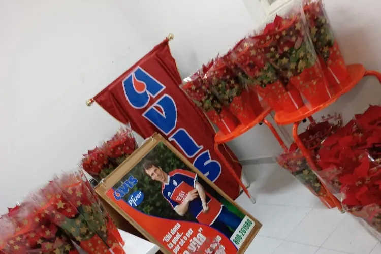 Avis Sennori (foto concessa)