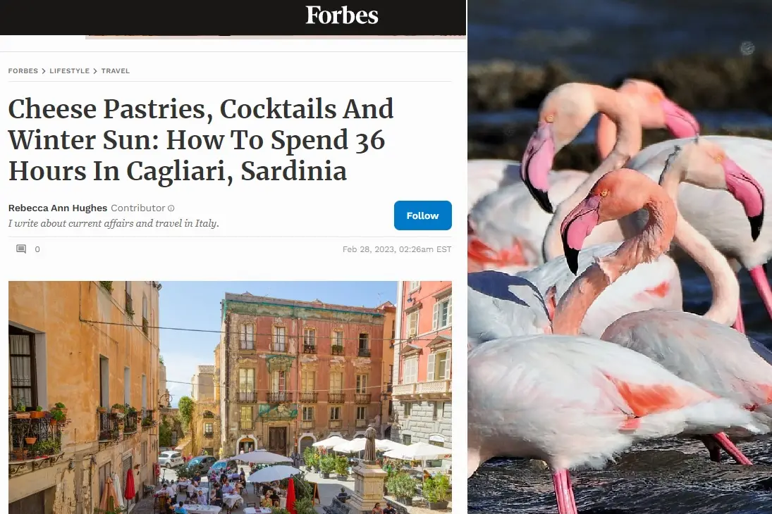 I fenicotteri a Cagliari e, a sinistra, l'articolo di Forbes sul capoluogo