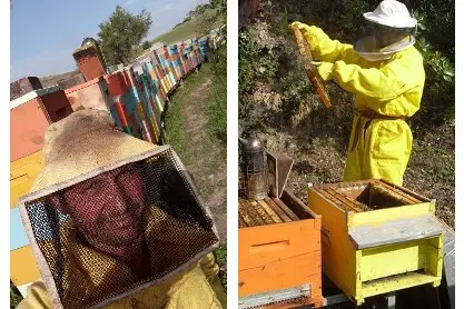 Gli apicoltori Paolo Serra e Alberto Scarabelli (foto concessa)