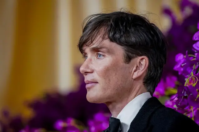 Cillian Murphy (Ansa)