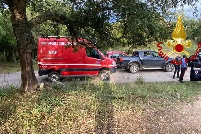 L'intervento (foto Vigili del fuoco)