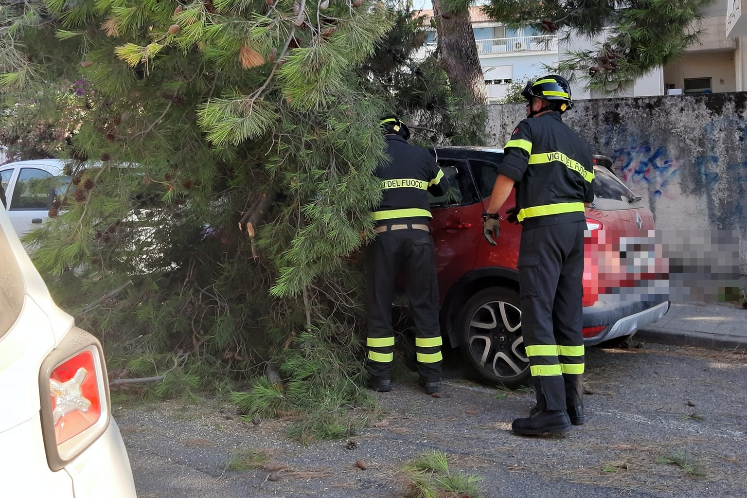 Oristano, un grosso pino crolla sull’auto dell’ex sindaco Lutzu: “Ero appena sceso”