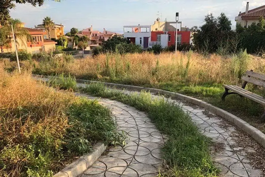 Erbacce a Sant'Anastasia