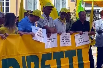 Grano e olio sotto i costi, l’allarme Coldiretti: “Rischio collasso”