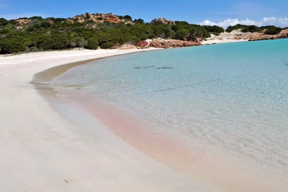 La famosa spiaggia rosa di Budelli