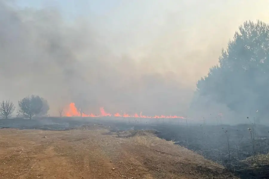 Incendio a Sa Cerasia, Mandas (foto Sirigu)