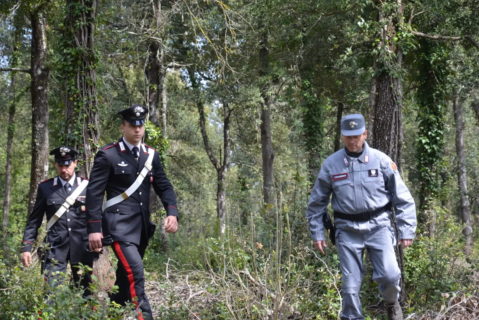 Intervento dell'Arma alla periferia di Sinnai (Foto: carabinieri)