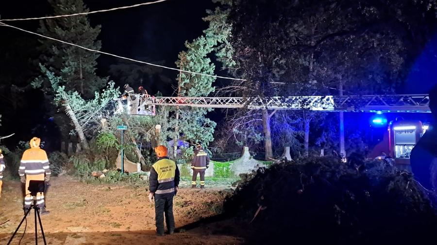 Sinnai, villaggio delle mimose al buio: gli alberi abbattuti dal vento hanno provocato danni sulle linee elettriche