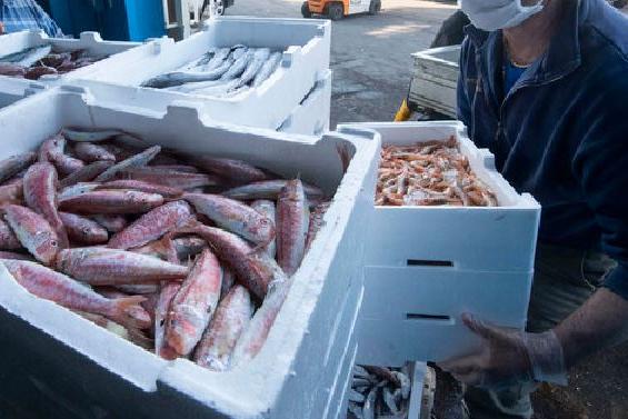 Arrestato il “pescivendolo truffatore”: decine di raggiri a Cagliari e provincia