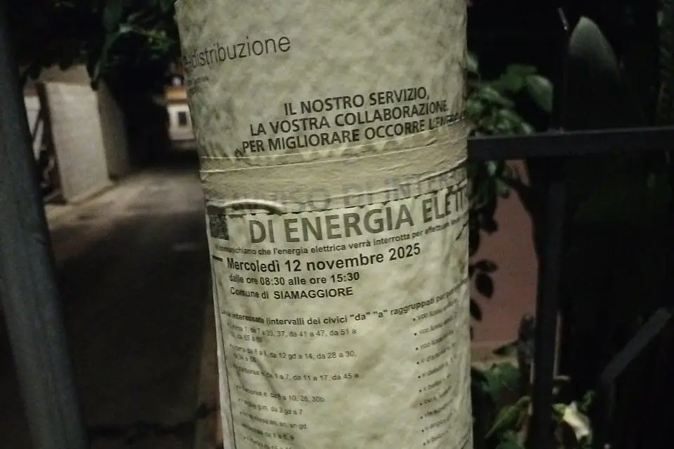 Un palo (Foto concessa dal Comune)