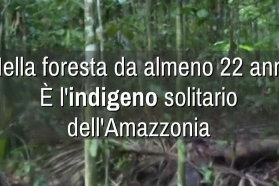 Amazzonia, scoperto un indigeno che vive e caccia da solo nella foresta