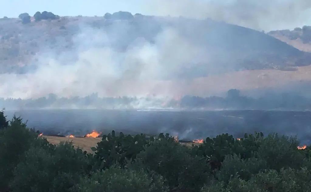 L'incendio nelle campagne di Monastir