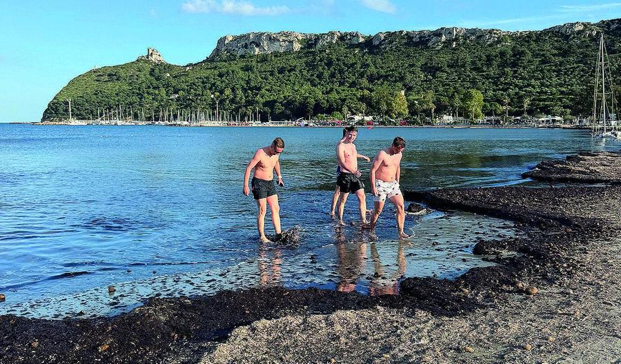 Poetto, scontro sulla posidonia