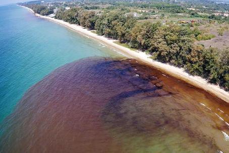 Spiagge e barriera corallina minacciate dal petrolio: allarme in Thailandia