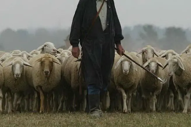Un pastore