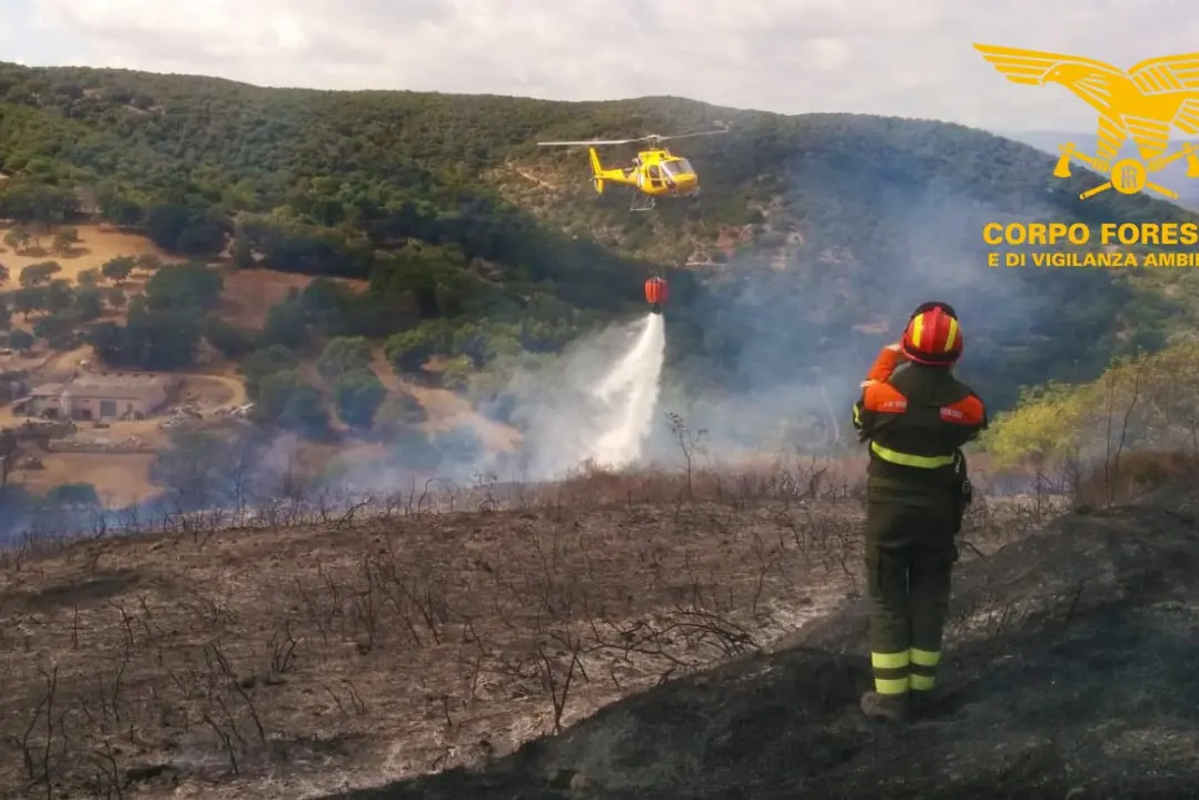Incendi a Carbonia e Vallermosa (foto Corpo forestale)