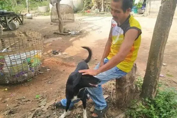 Il cane Ping Pong con il suo proprietario (foto Twitter)