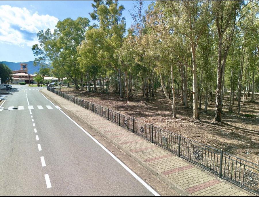 Olia Speciosa, nuovo look senza eucalipti