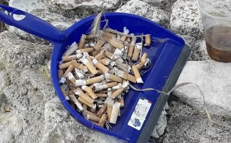 Le sigarette raccolte (foto Pinna)
