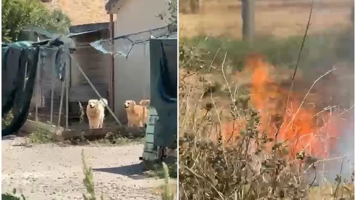 https://immagini.unionesarda.it/version/c:ODc1M2I5ZmQtMjgyYi00:YjBhMTQyNDUtMmJmNy00/image.webp?f=16:9