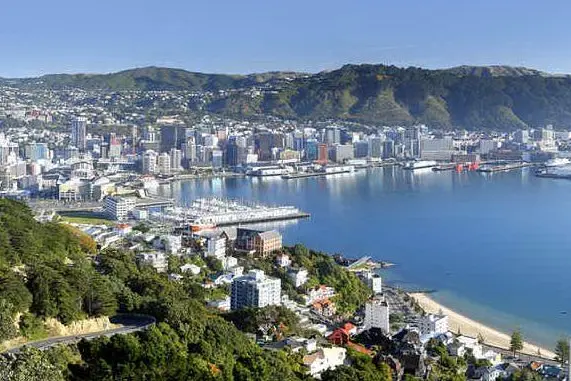 Wellington, la capitale della Nuova Zelanda (foto da google)