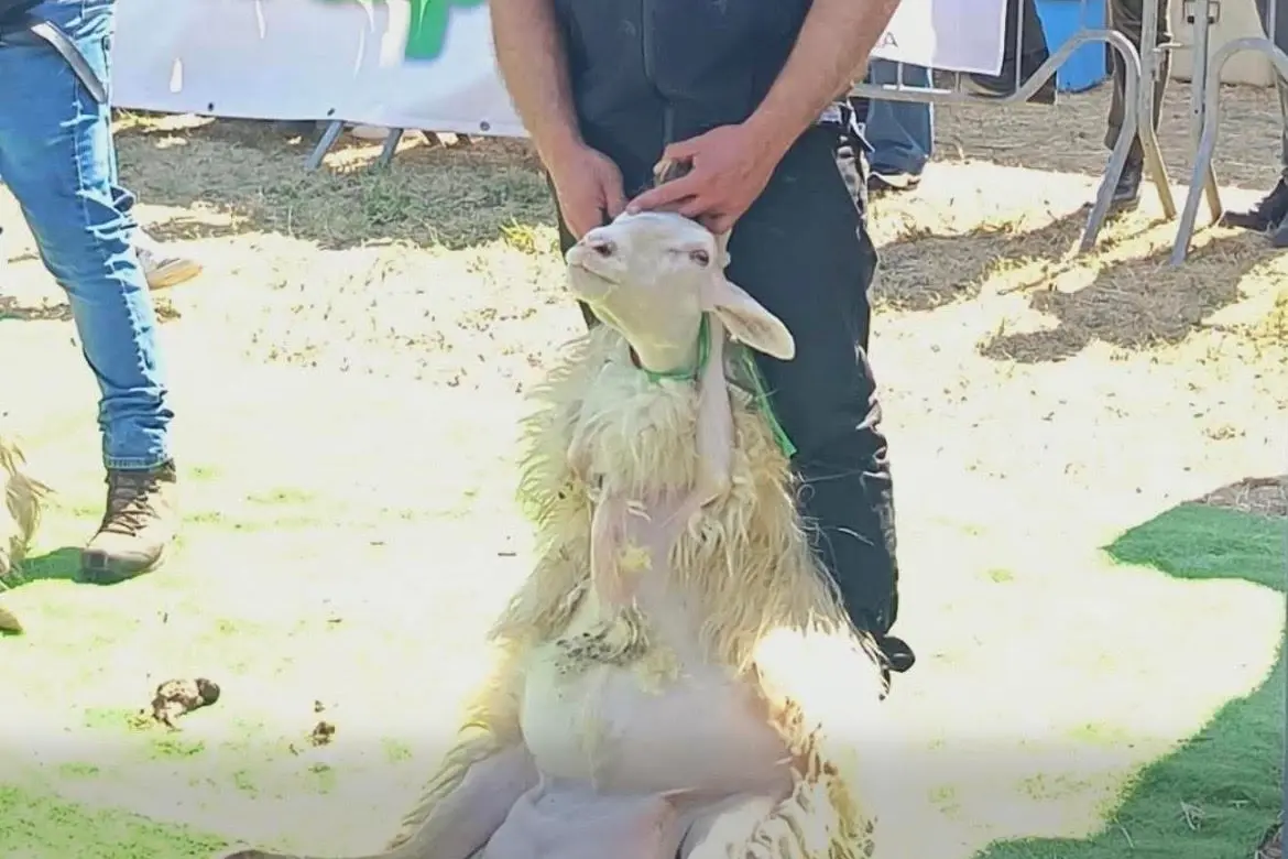 L'immagine che Rizzi ha pubblicato sul suo profilo