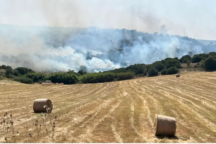 L'incendio a Mores