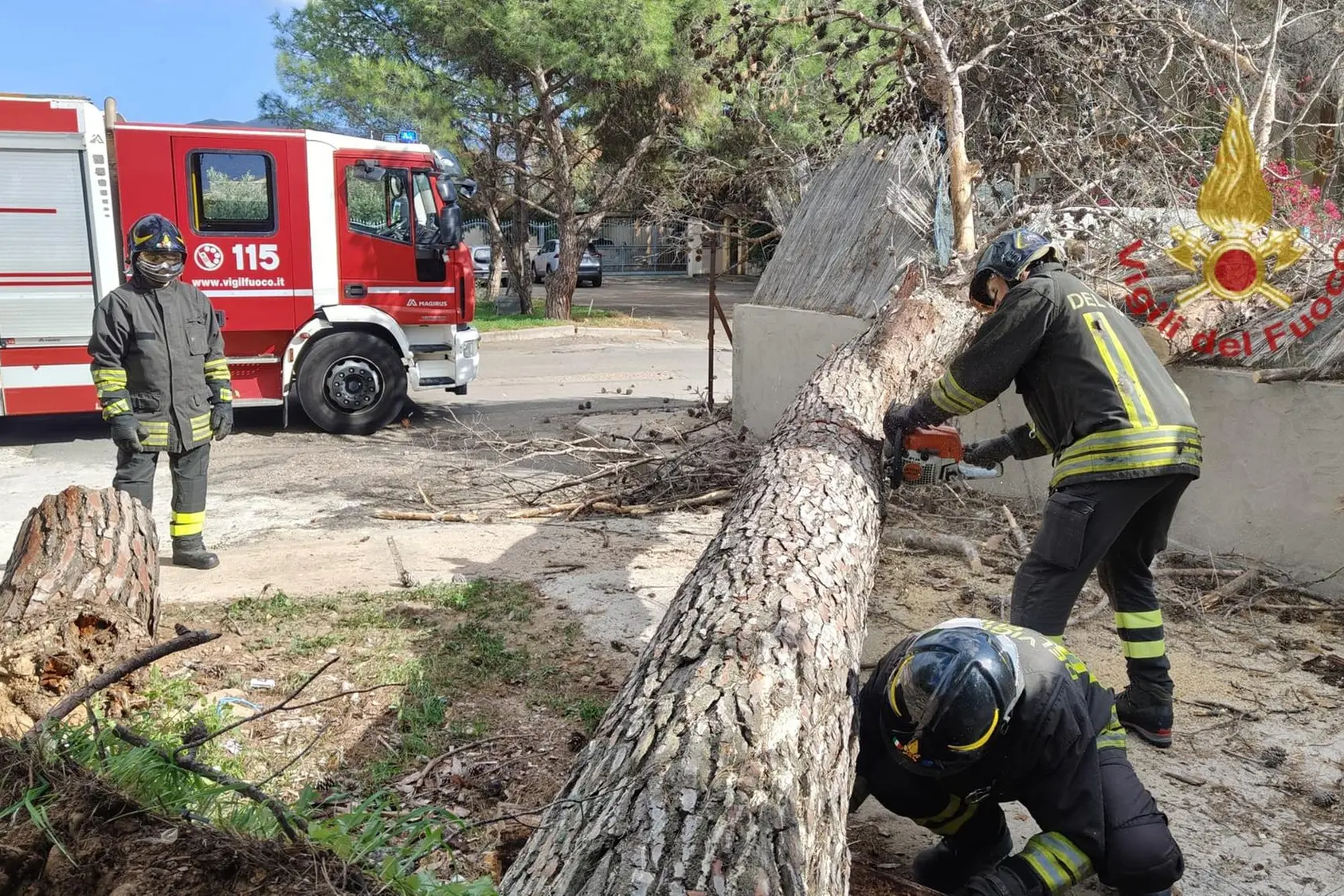 L'albero sradicato a Quartu (foto vigili del fuoco)