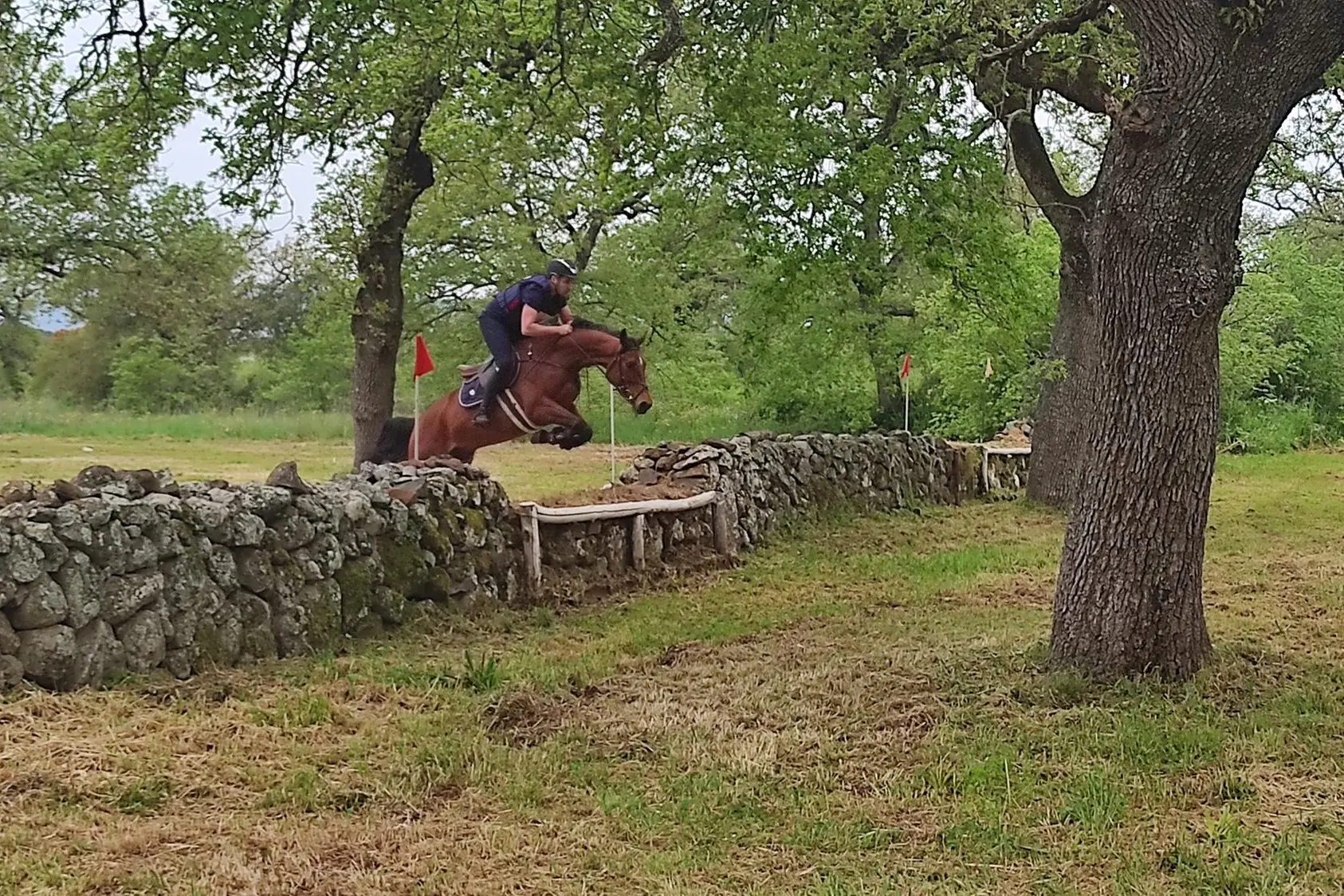 Una prova di salto ostacoli