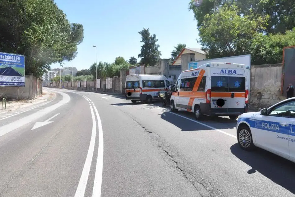 (Foto Polizia municipale)