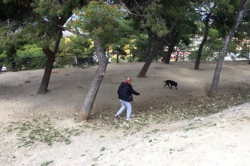 A Cagliari una lettrice chiede una maggiore attenzione alle aree riservate ai cani