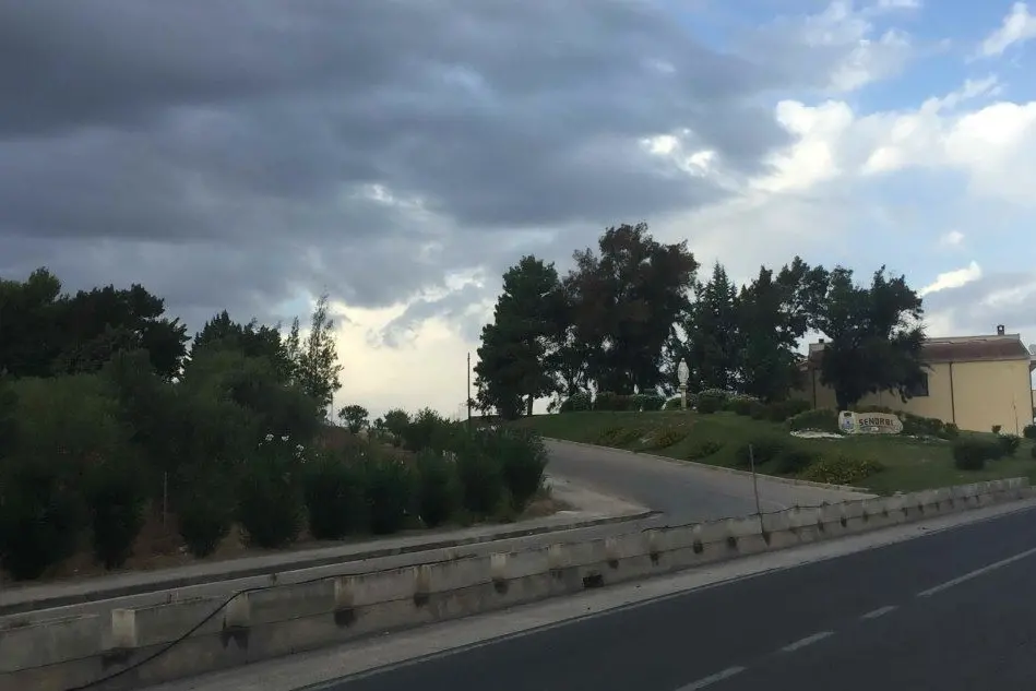 Il viale alberato
